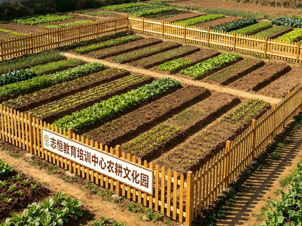 十堰比较好的全封闭管教学校2026家长择校指南